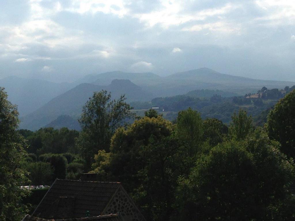La Vue Sur Le Paradis Chambon-sur-Lac Rum bild